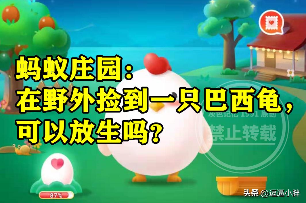 巴西龟放生需要准备什么,巴西龟如何放生注意事项