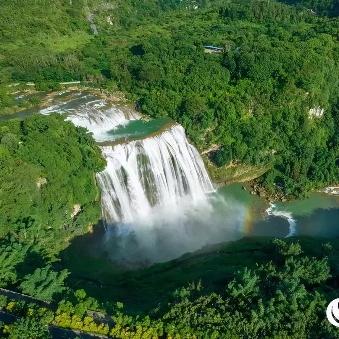 Ta的最佳观赏期到了,这个夏天安排上!