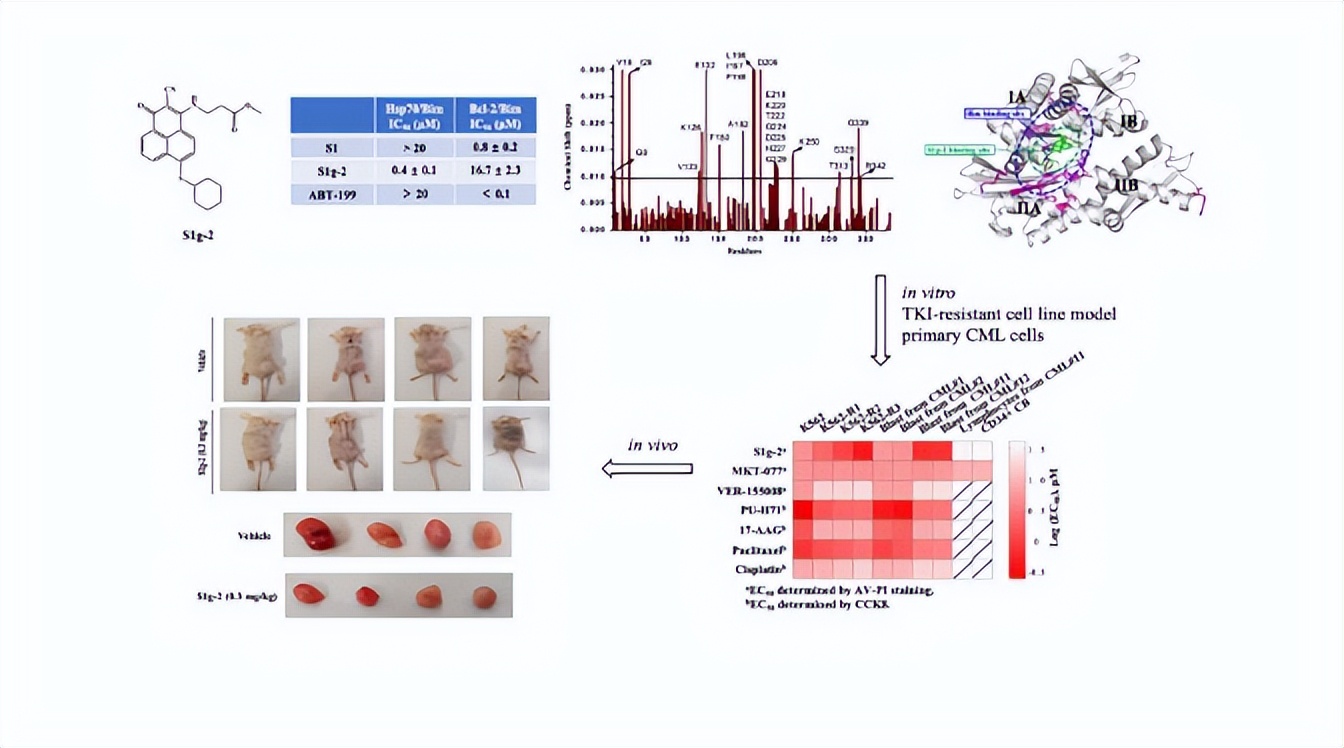 985高校揭牌4个重磅科研平台,辽宁省肿瘤医院有建分院的消息吗