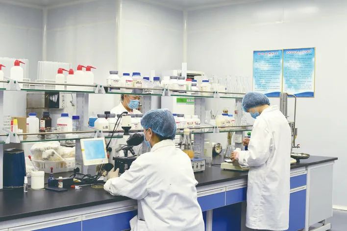 院士创新创业行动方案,院士创新创业方案