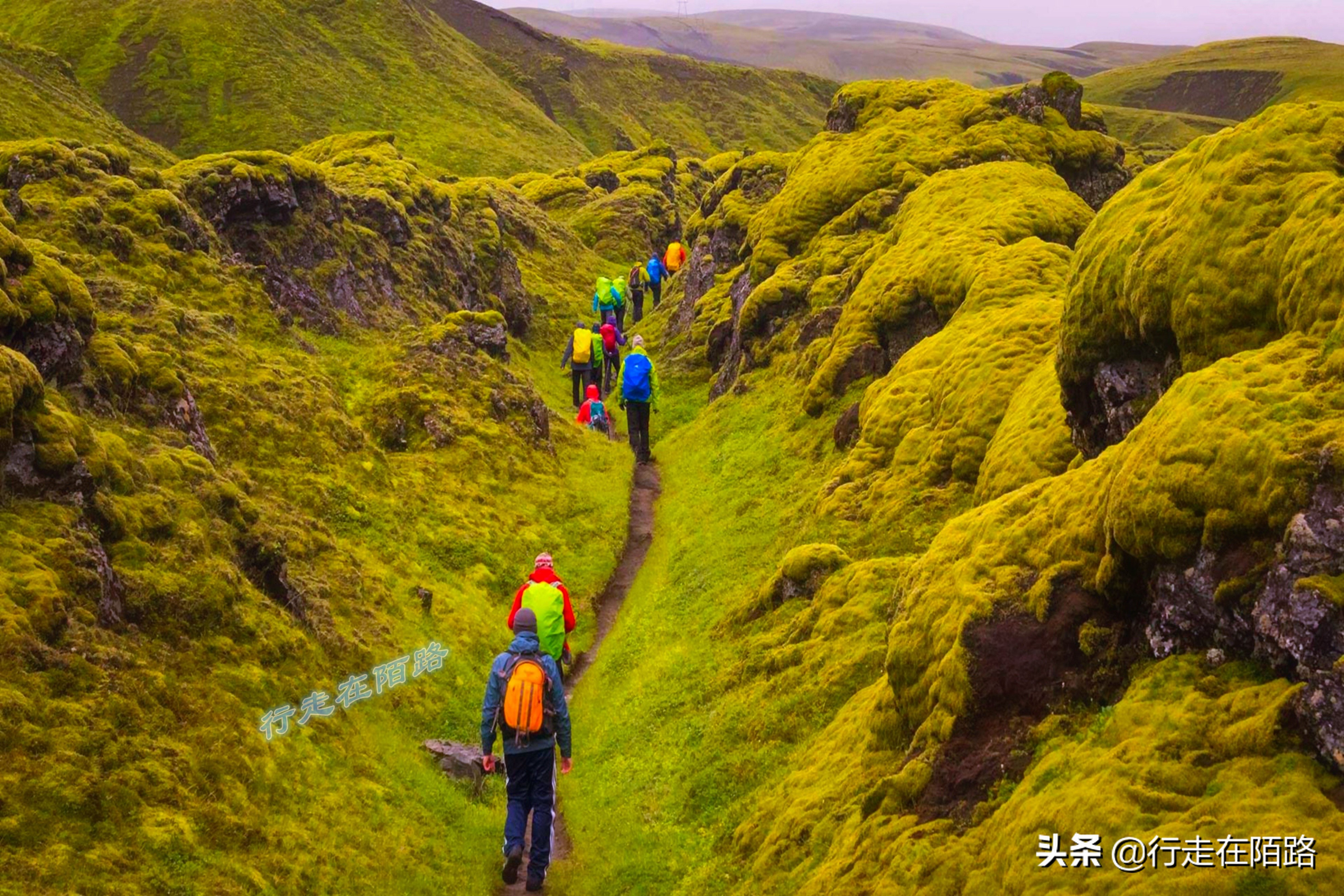 冰岛的抑郁症,冰岛的抑郁症率