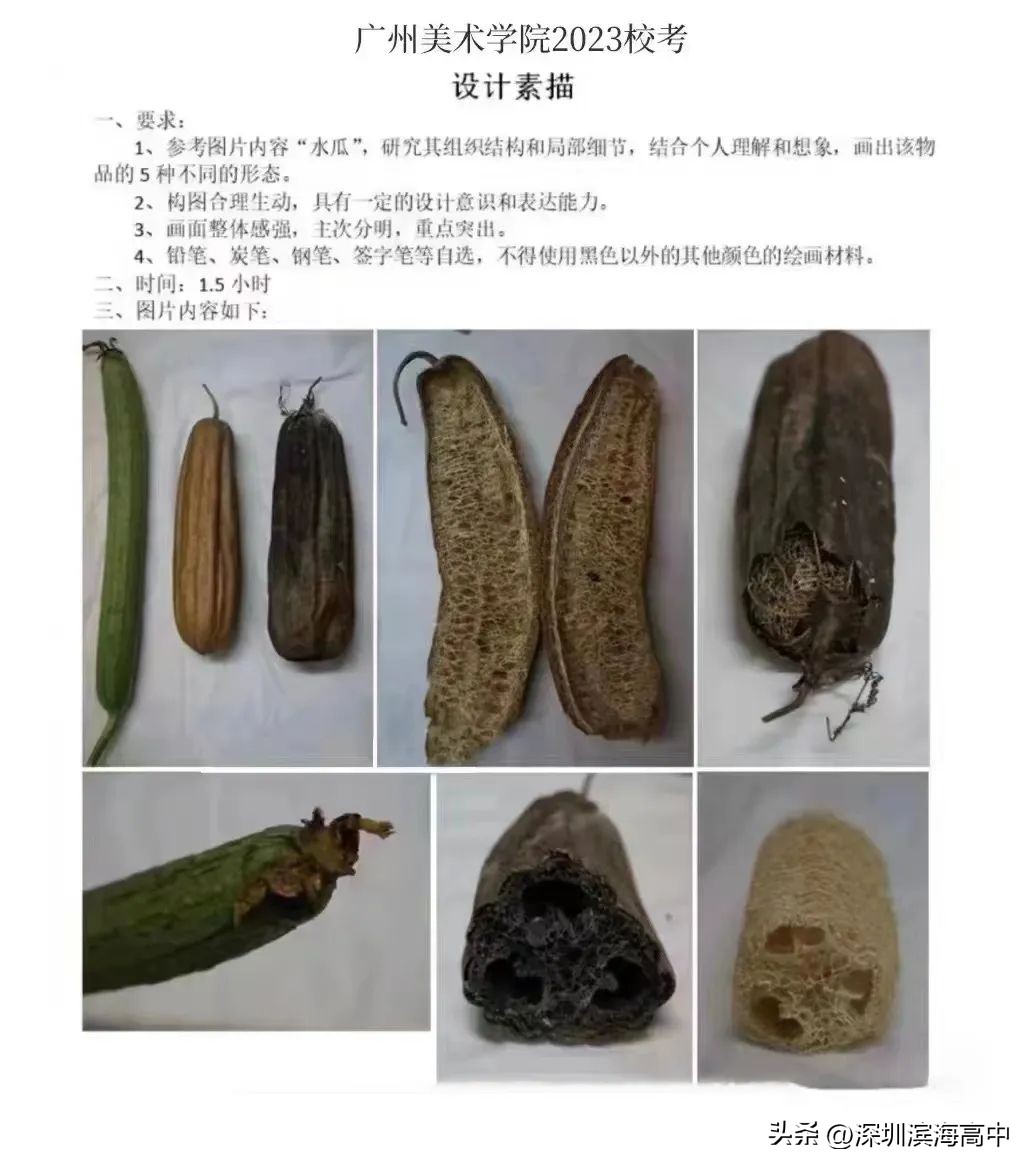 广美2023校考设计素描作品水瓜,广东美术联考2023考题素描范画