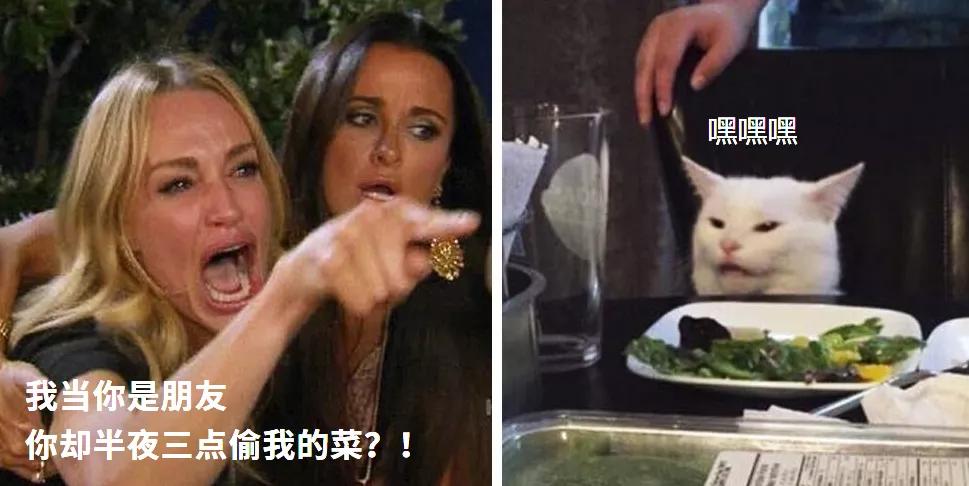 没10年网龄都不知道的梗,没十年网龄都看不懂这些梗