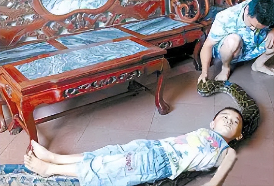 96年海南巨蟒,96年海南巨蟒事件真实情况