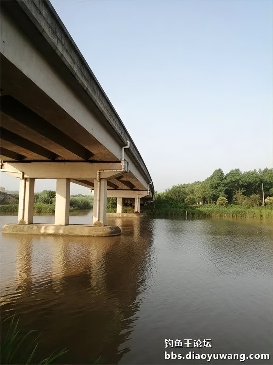 崇明北横引河水深,北横引河能钓鱼吗
