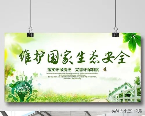 美国再遭生物入侵，30万只缅甸蟒泛滥成灾，最大能长9米，400斤重