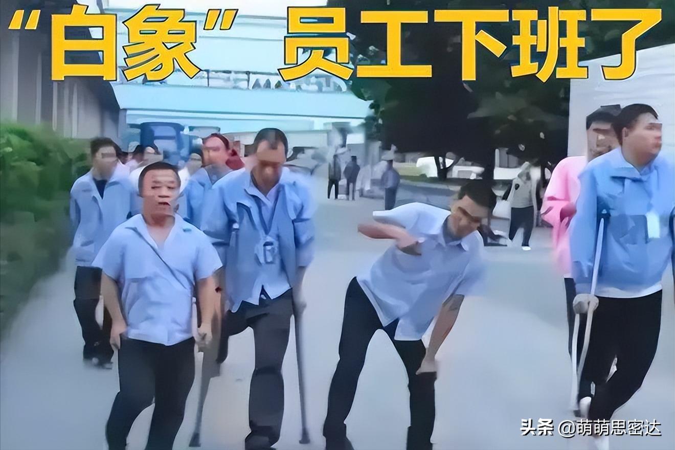 “酸菜”事件后，白象4大优势被揭开，7天销售额破千万