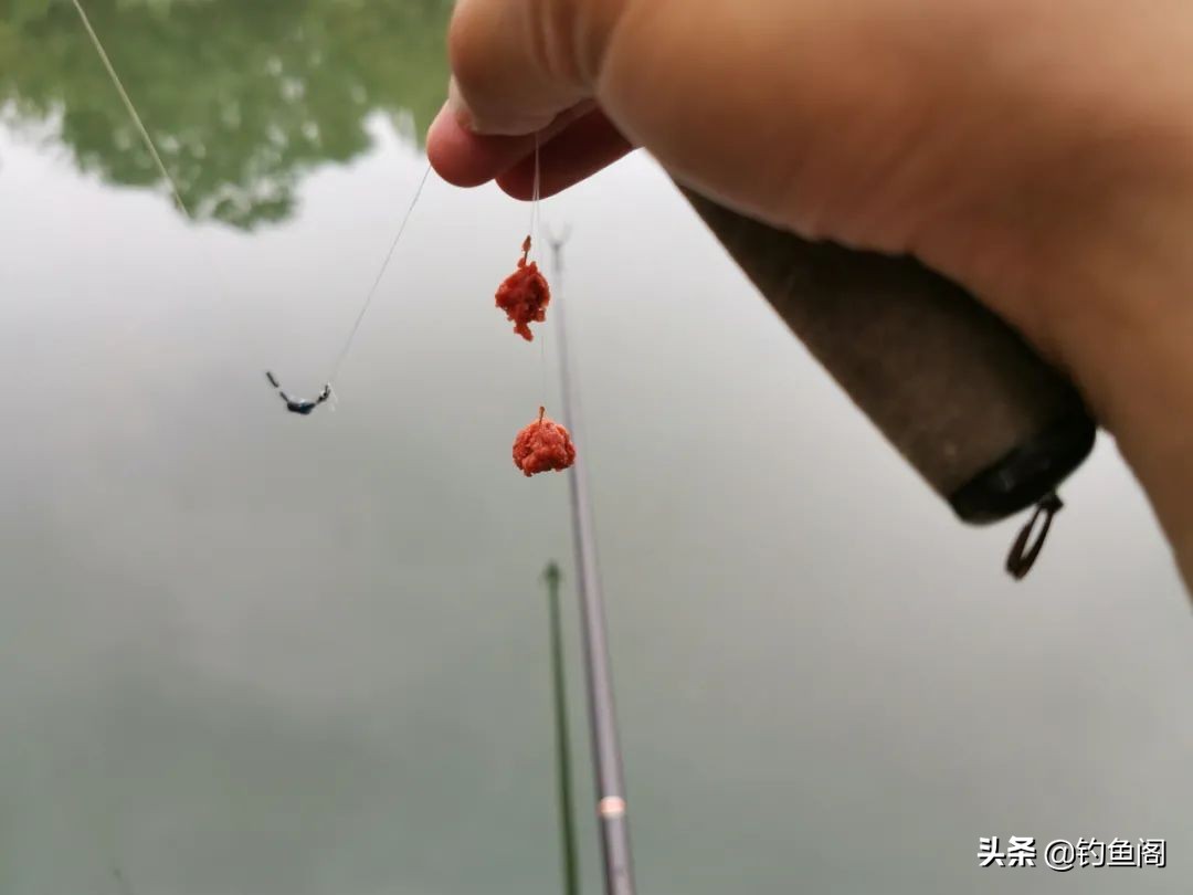 疯钓鲫野战蓝鲫918搭配效果怎么样,蓝鲫经典搭配