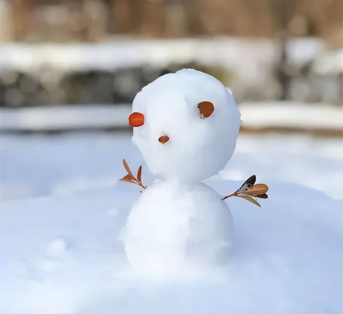 走进学校让心情愉悦,走进安静整洁的教室时我深感自豪