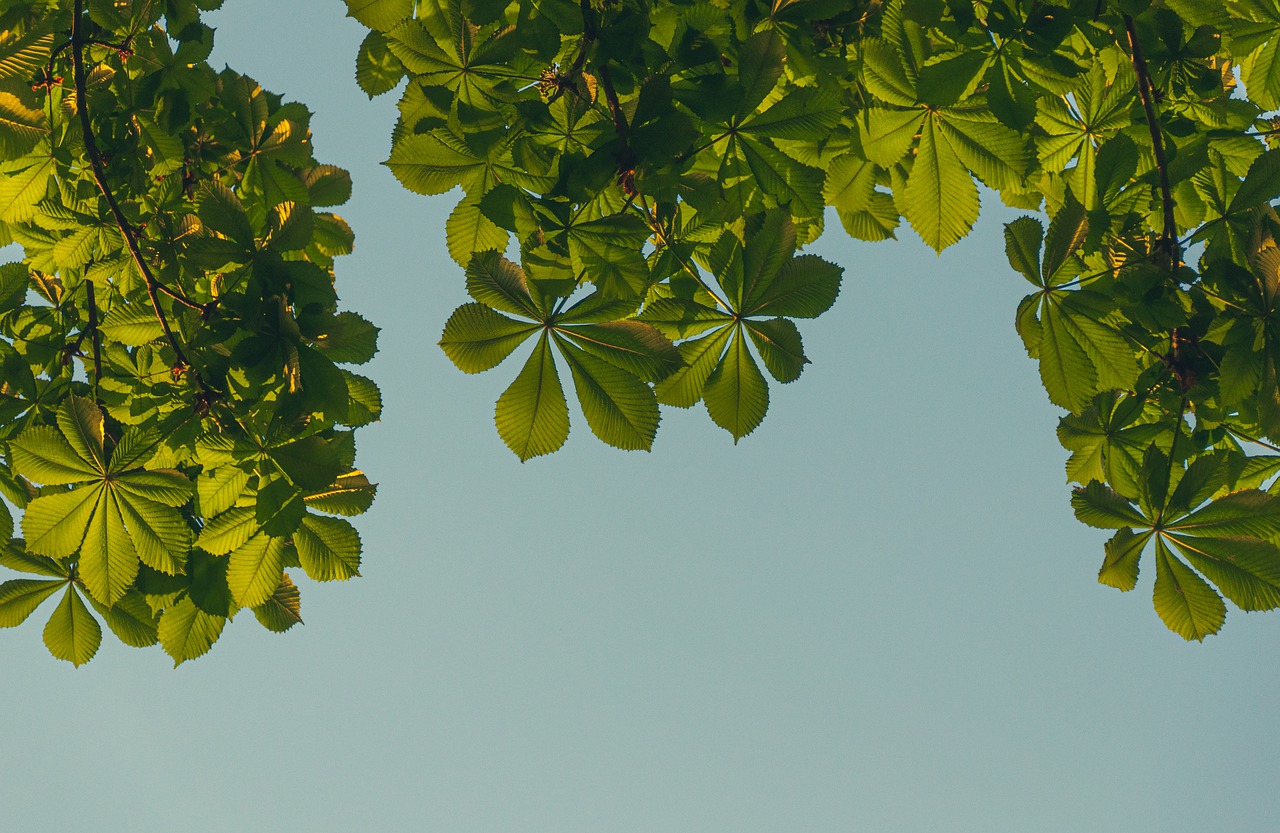 告诉孩子去别人家做客的八个原则,关系再好去别人家还是要提前告知