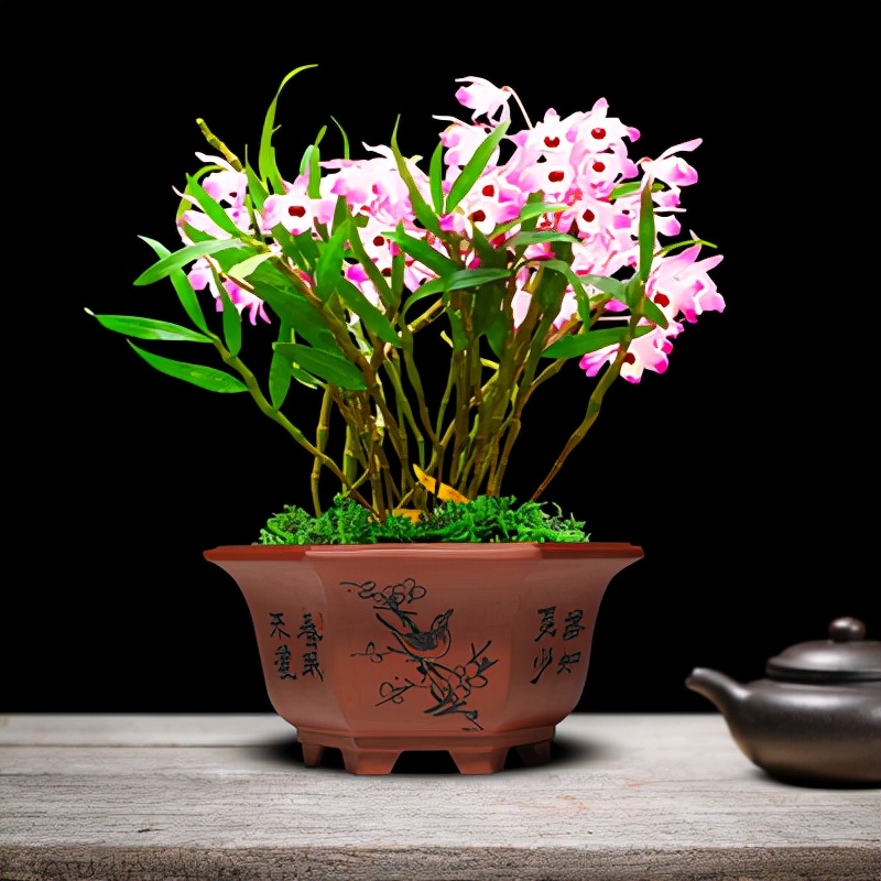 老中医喜欢十大食材,老中医五种食物养生100岁