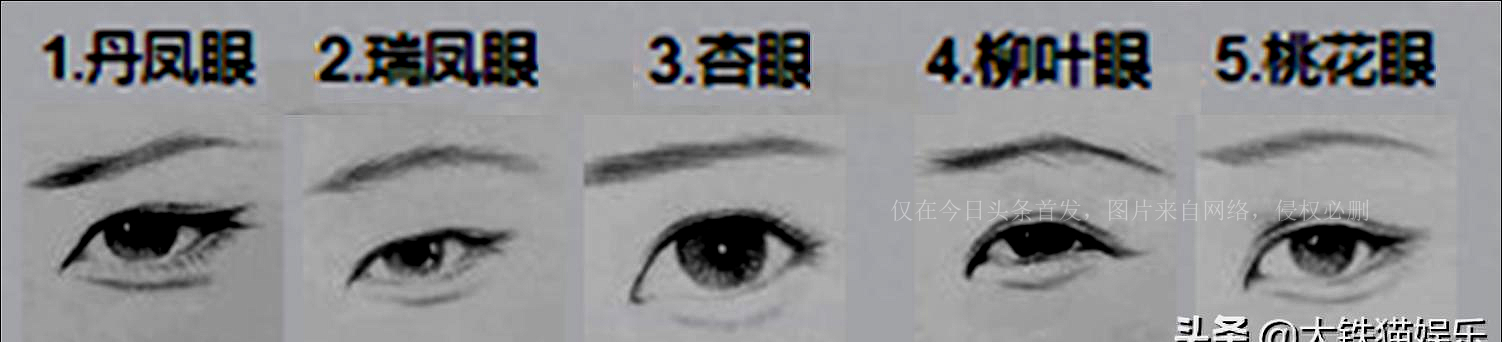 丹凤眼的帅哥合集,好看的丹凤眼男星