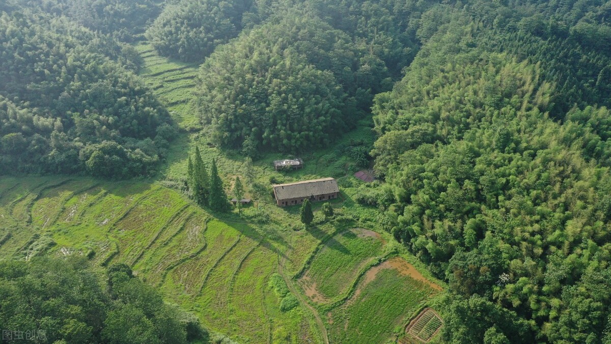报得三春晖中晖是什么意思,报得三春晖的三春指的是