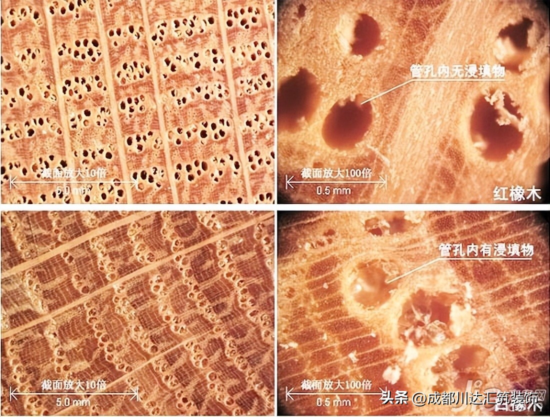 国内家具市场现状,橡木国内哪里产的家具比较好