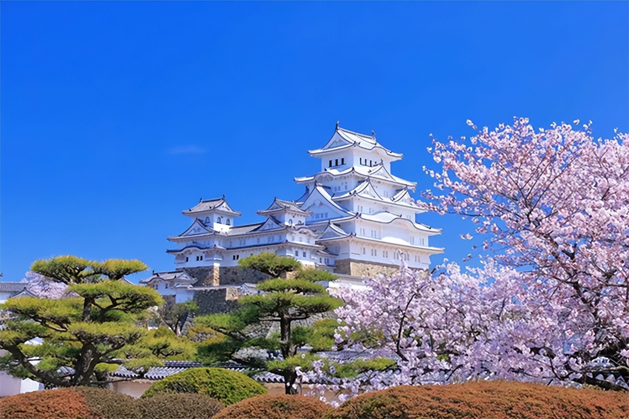 去日本旅游怎么样,去日本旅游怎么样最省钱