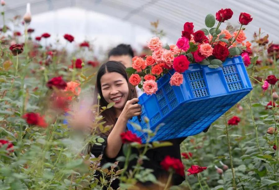 云南一小伙打工5年回家,云南小伙14岁创业18年