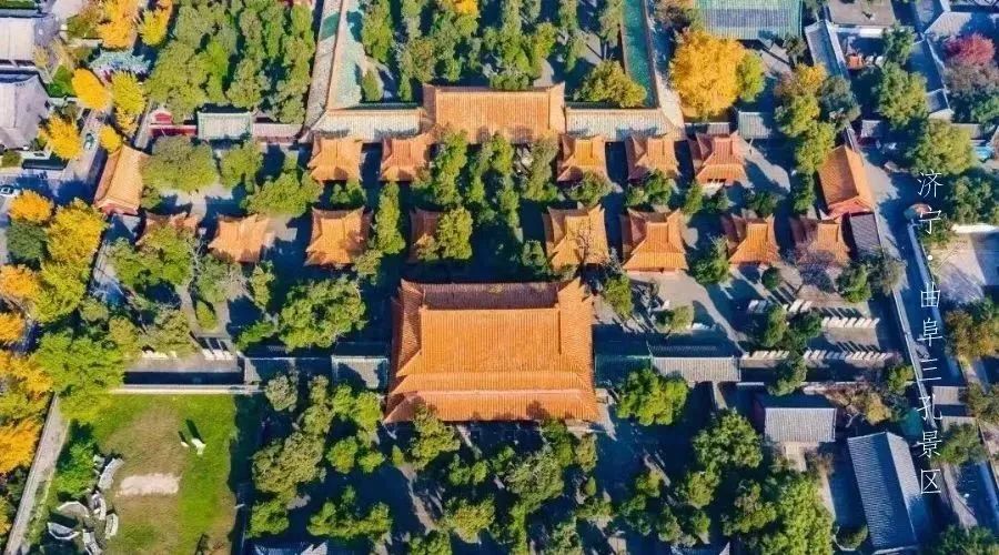 邀您共赏春,邀您一起奔赴冬日之约