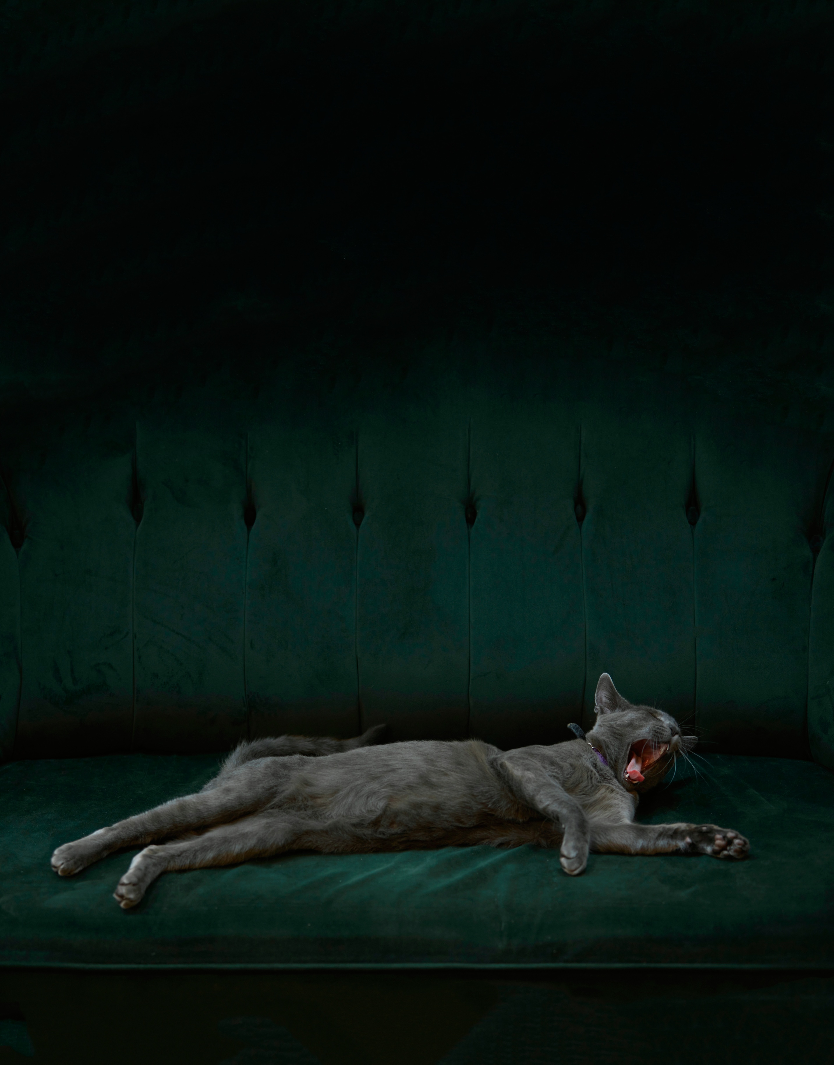 索尼世界摄影获奖作品图片,索尼世界摄影大赛获奖作品展示