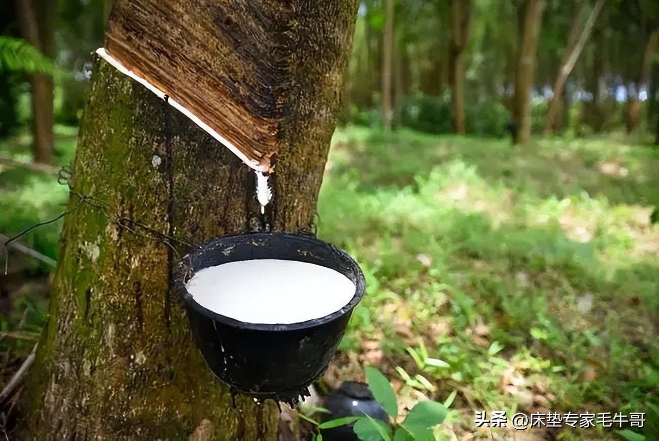 装修小白必看超全家装指南,装修小白必看书单推荐