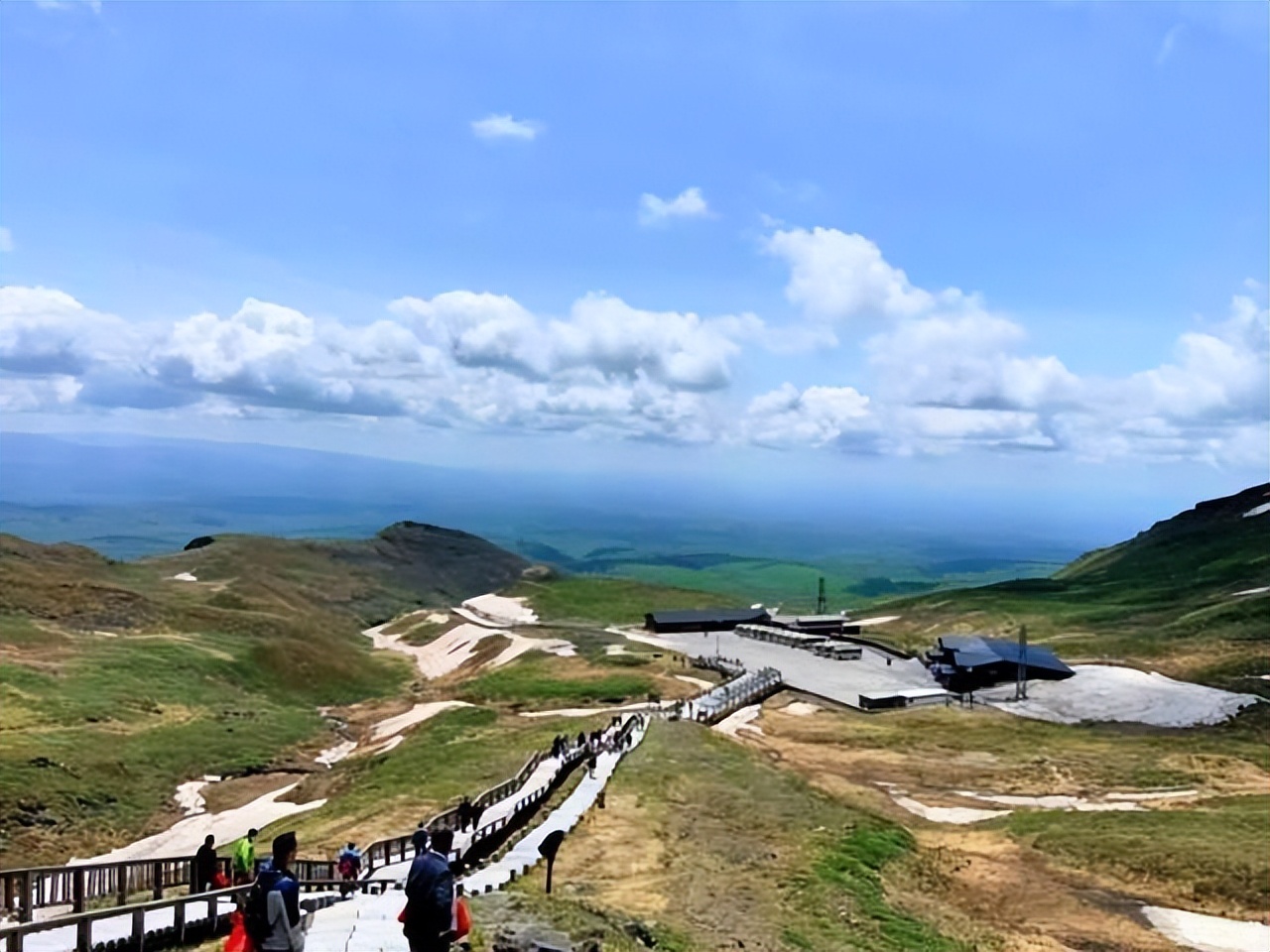 民国的长白山有种山客，他们采“桦树茸”，这活可不是谁都能干的