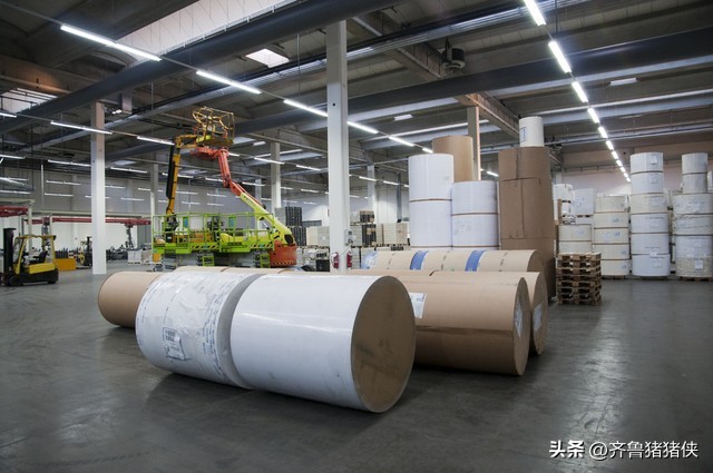 中国十大造纸企业,山东十大造纸企业