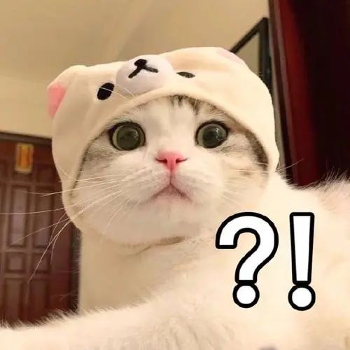 世界上最高阶五魔方,魔方世界5阶魔方