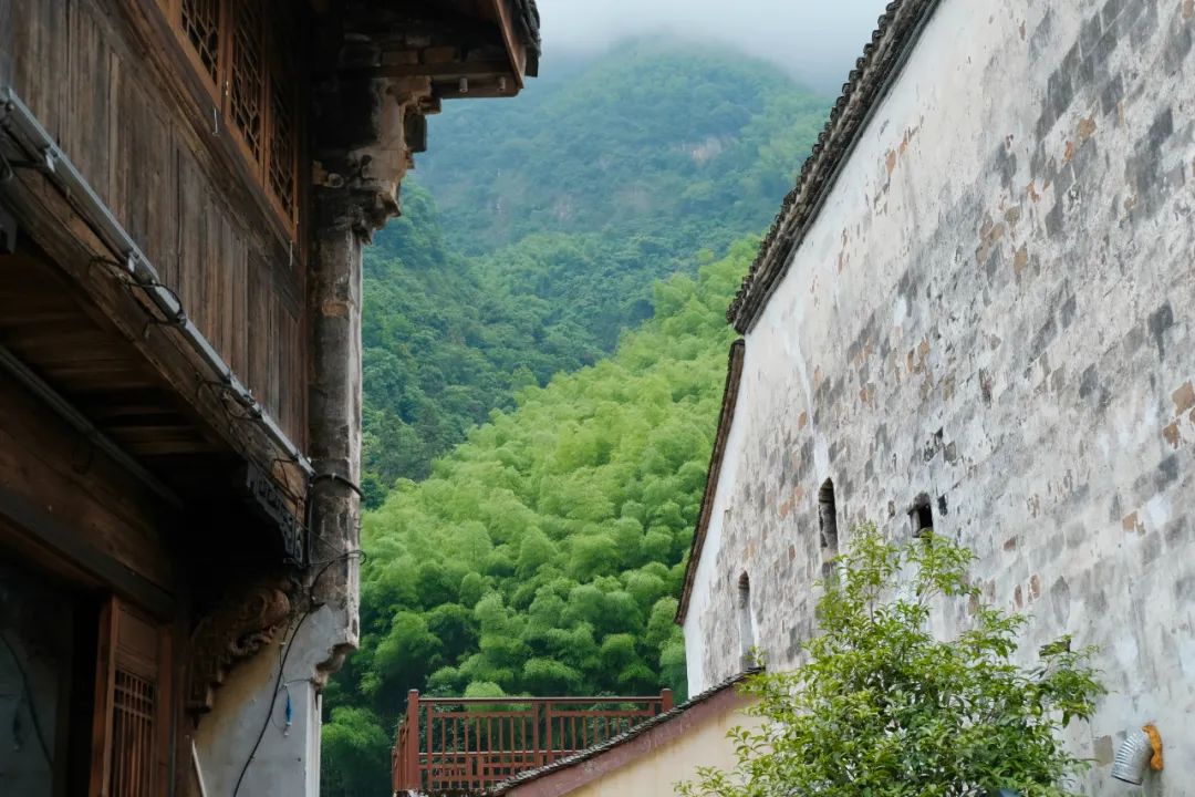 杭州冬日旅游自驾,杭州周边避暑两日自驾游攻略