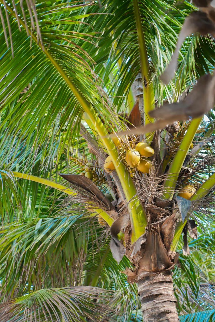 江东打卡｜漫步十里金滩看江东海天一色