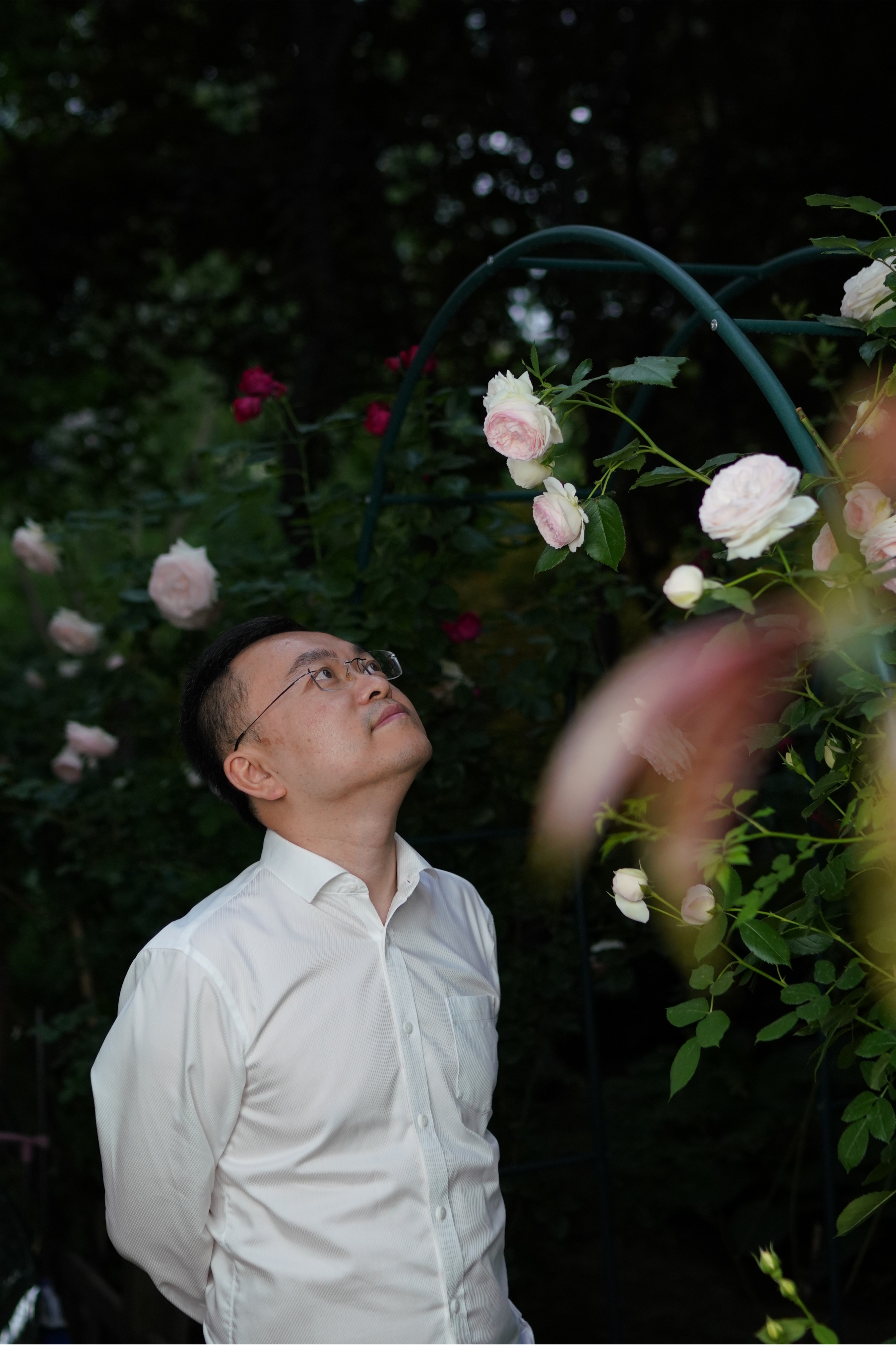 京东副总裁蔡磊患渐冻症仍捐助,原京东副总裁蔡磊患渐冻症