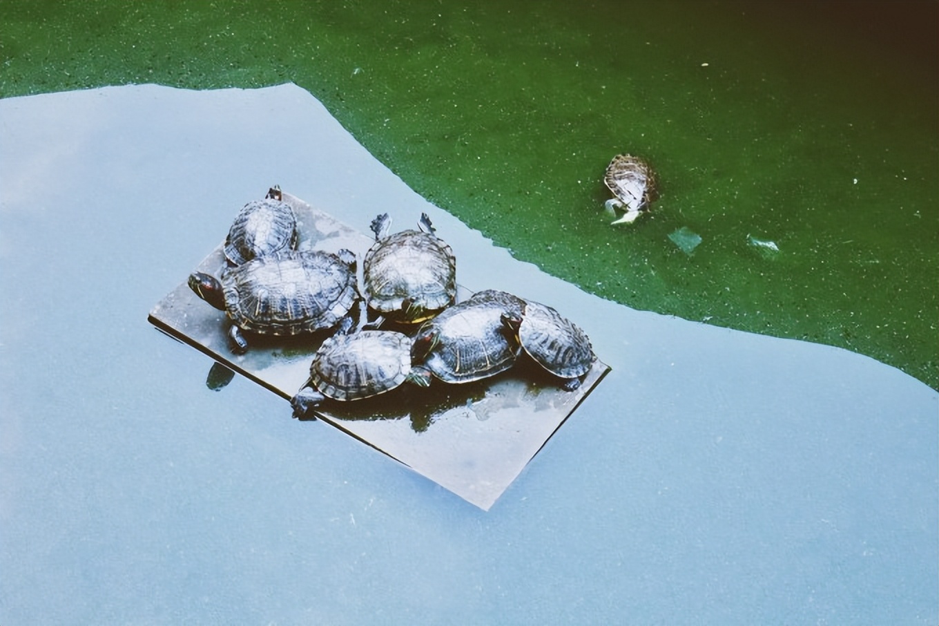 去重庆必看的旅游攻略,山城重庆旅游必去推荐