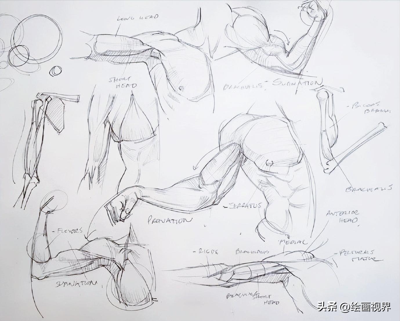 学不会人体画法怎么办,初学者不会画素描