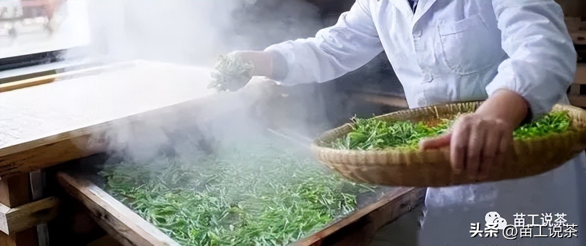 茶叶杀青注意事项及细节,茶叶的杀青一般有几种方法