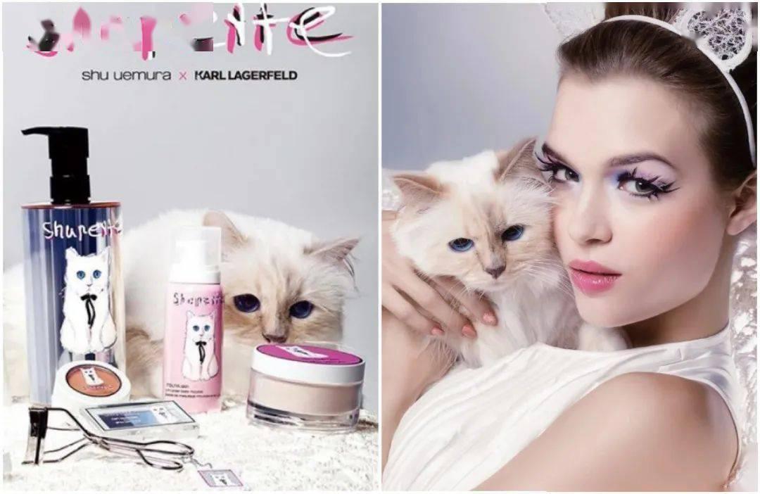 刘雯邓文迪,邓文迪杨紫琼