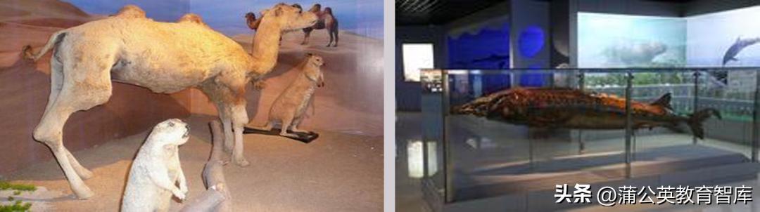 倪闽景:高质量的学习流程再造,我有10个方向性建议