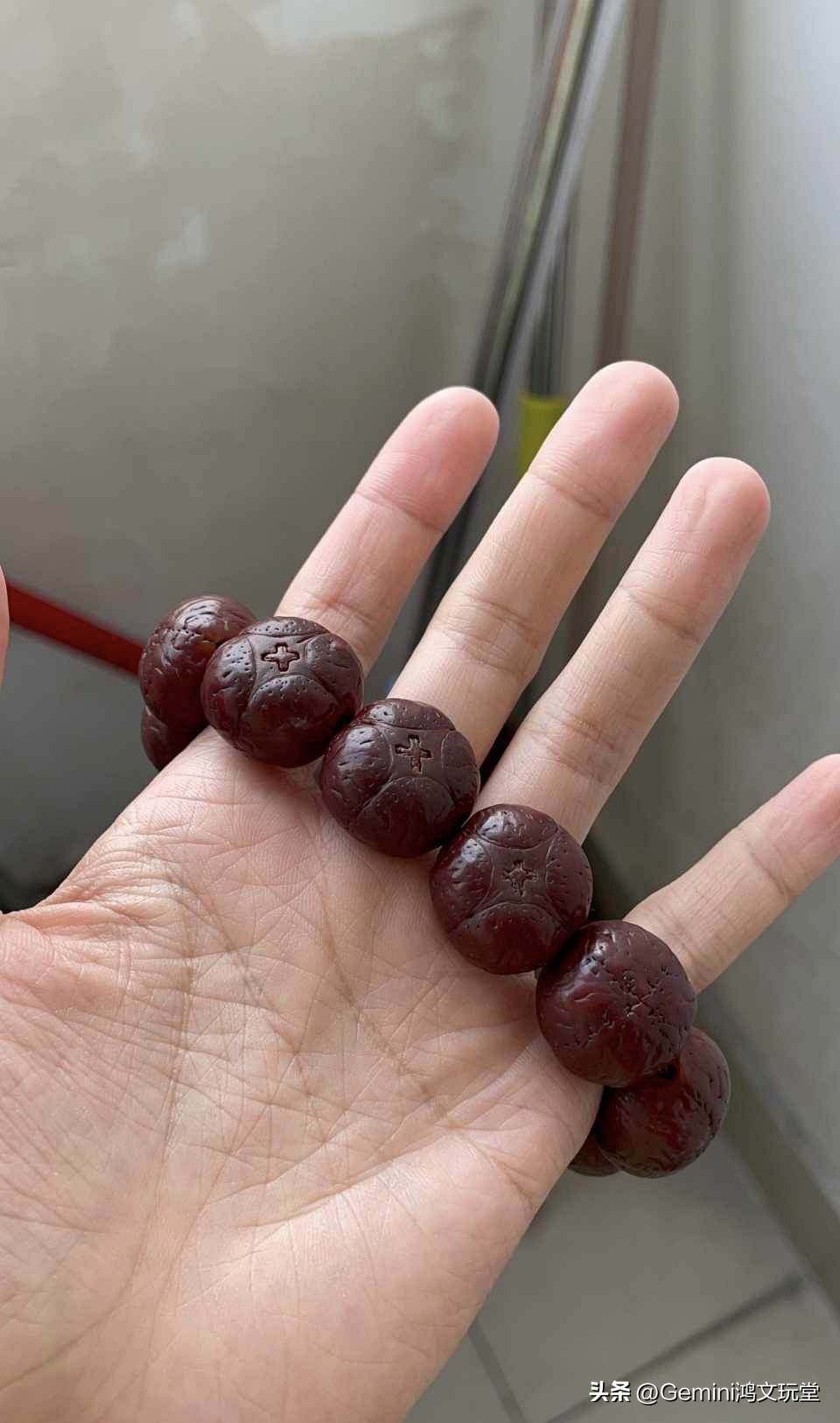 凤眼菩提基本知识新手须知,凤眼菩提的做法