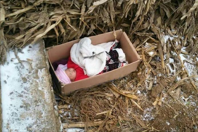 河南老汉捡到弃婴24年后带去旅行,老汉捡废品收养弃婴25年后续