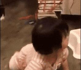 如何拥有一只奶牛猫,如何养出社牛猫