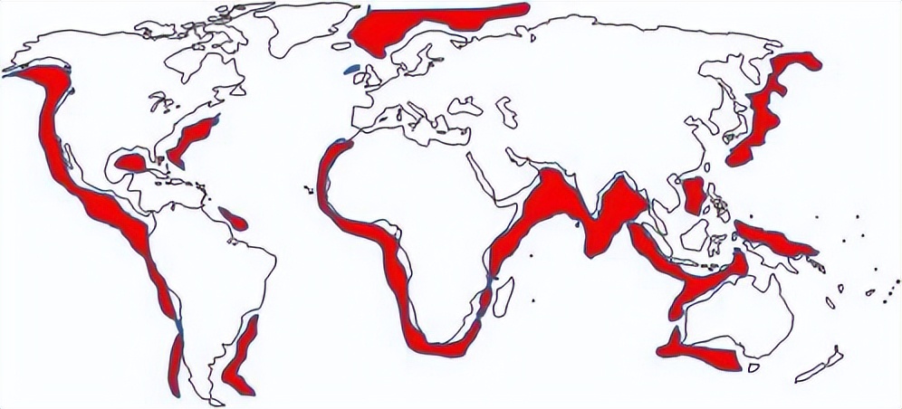 海底的可燃冰在哪首次发现的,海底可燃冰在哪里发现的
