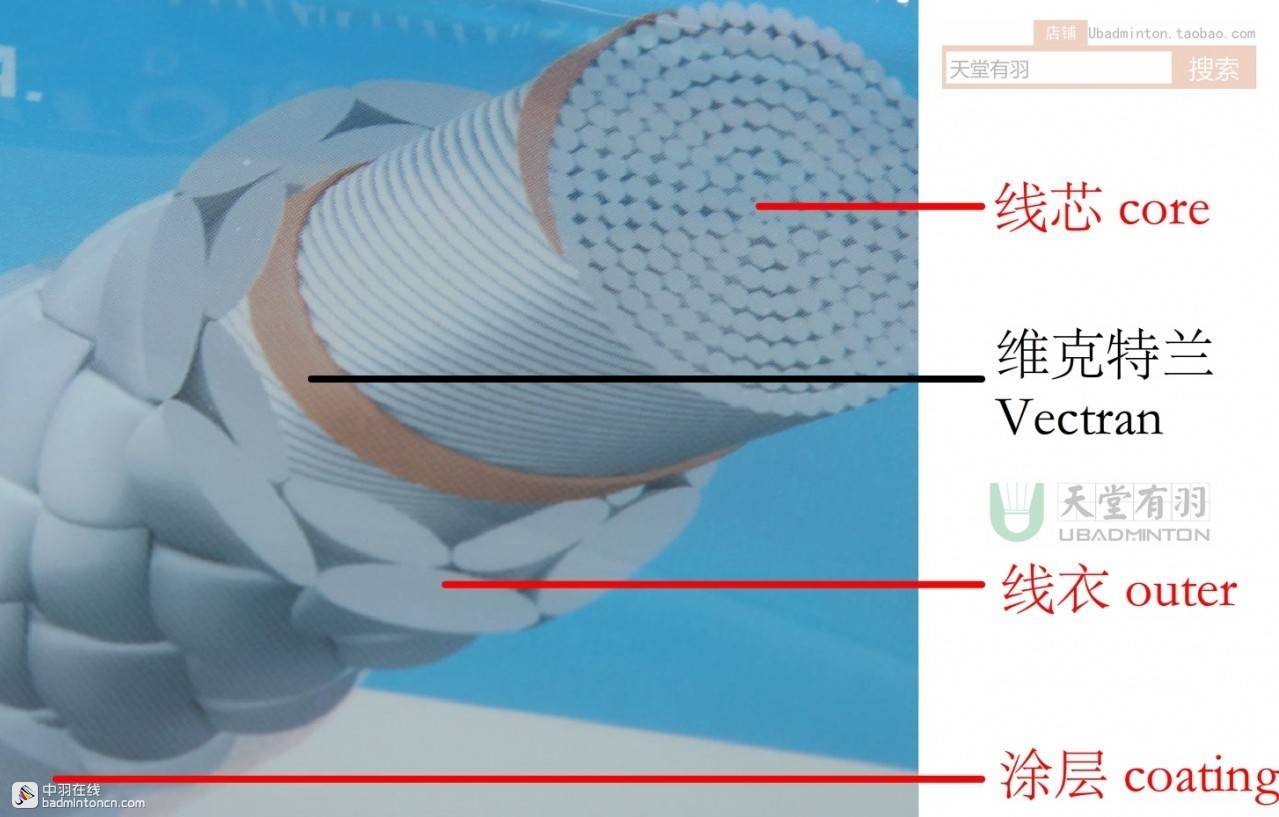 打羽毛球初学者的基础知识,羽毛球基础线能打吗