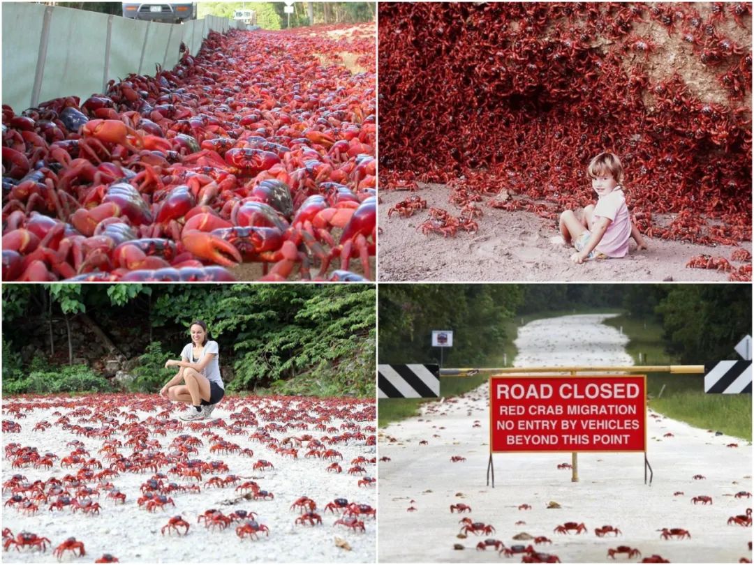 10张绝美站立姿图,20张让人涨知识的图片