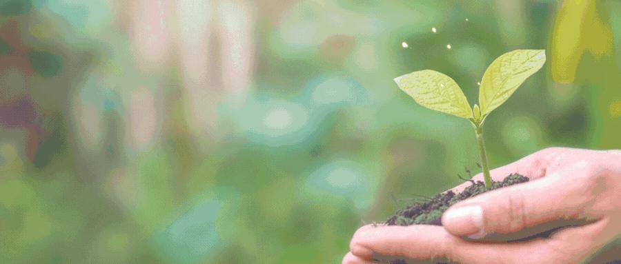 机票便宜航空公司靠什么盈利,机票这么便宜航空公司怎么挣钱