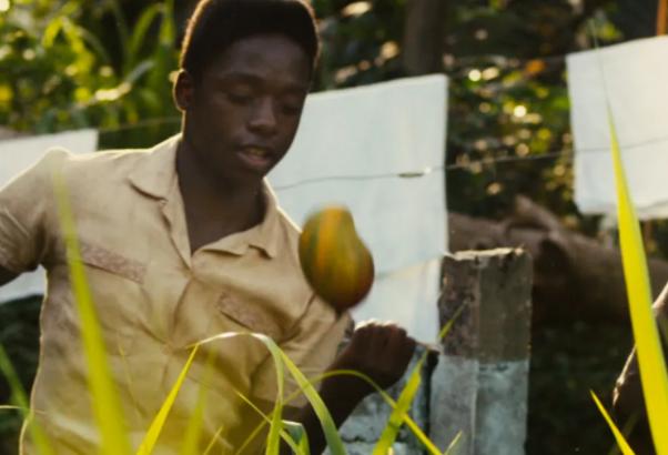 巴西最近一年世界杯夺冠,巴西5次世界杯冠军夺冠