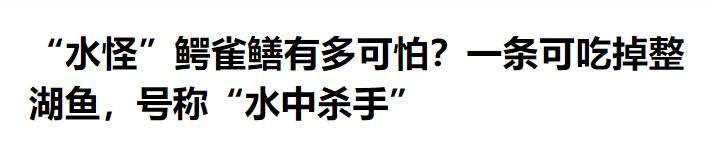 那些胡乱放生的人,那些放生的人都怎么想的