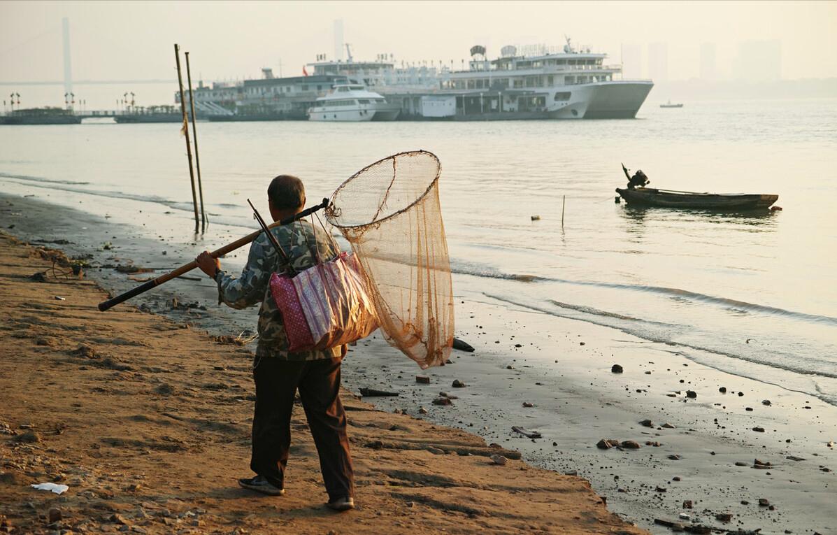 长江野生鲥鱼还有没有,现在长江鲥鱼怎么样了