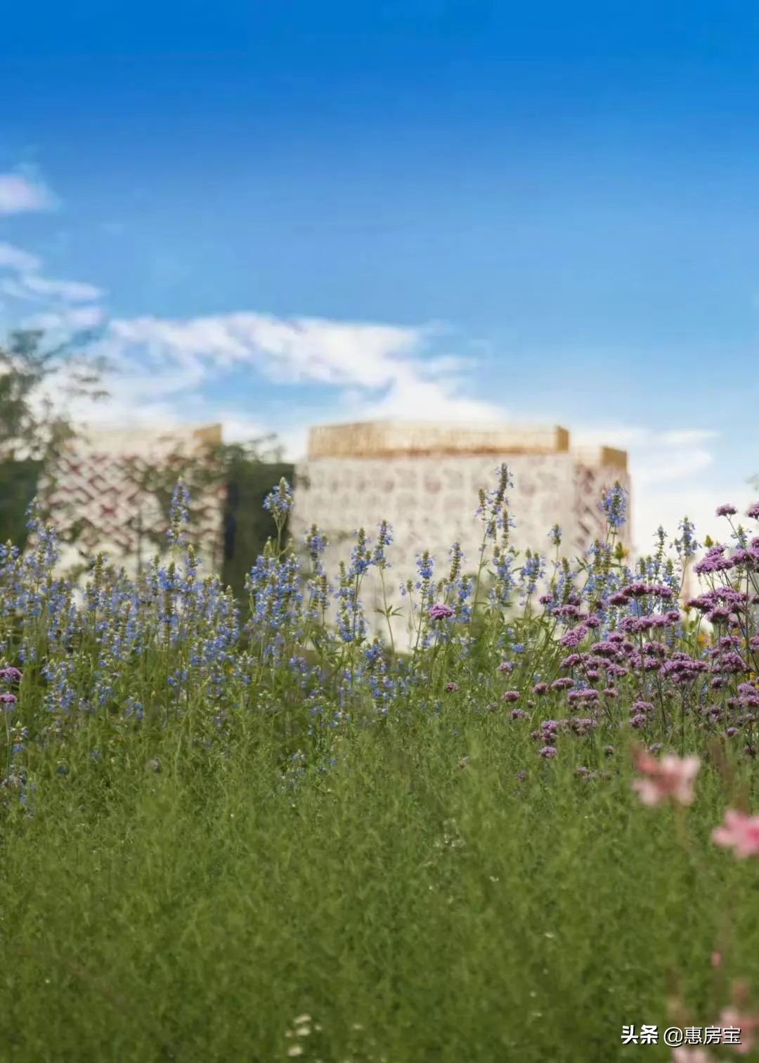 上海公园免费,上海免费公园排行