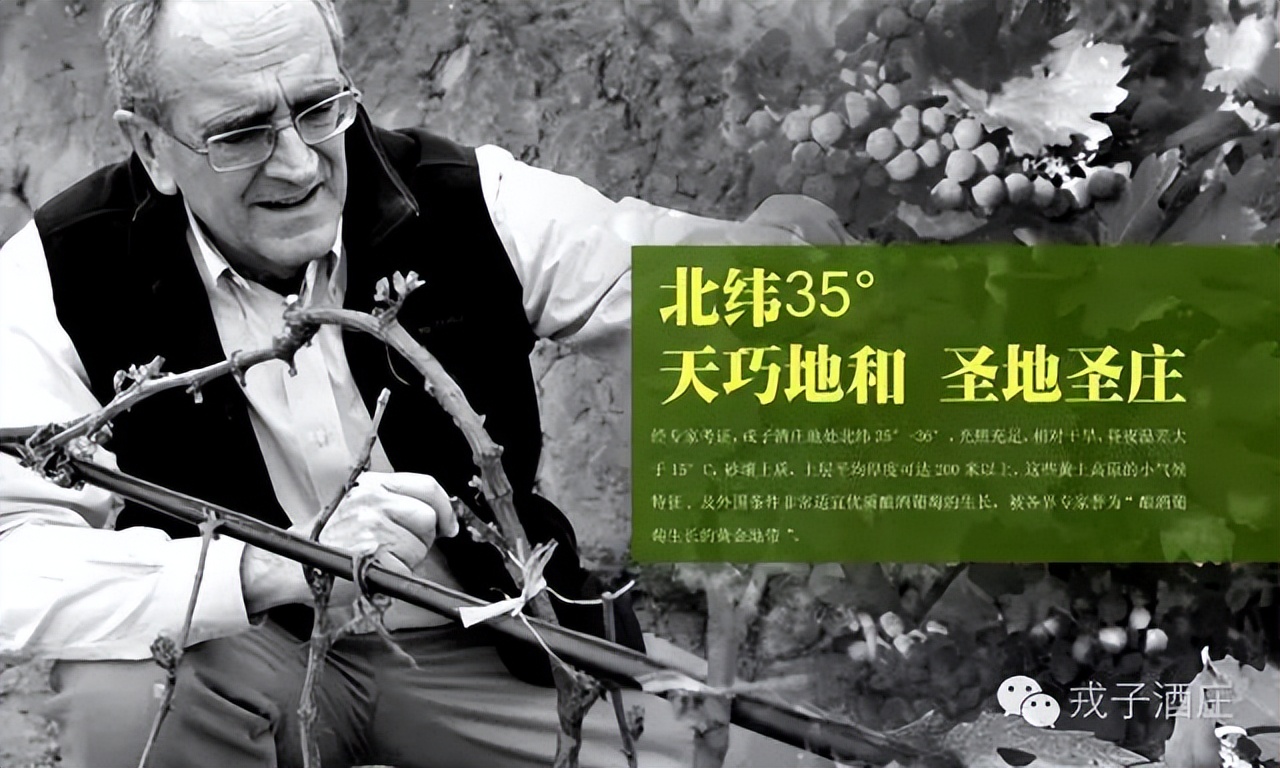 山西戎子酒庄,山西戎子酒庄有限公司融资