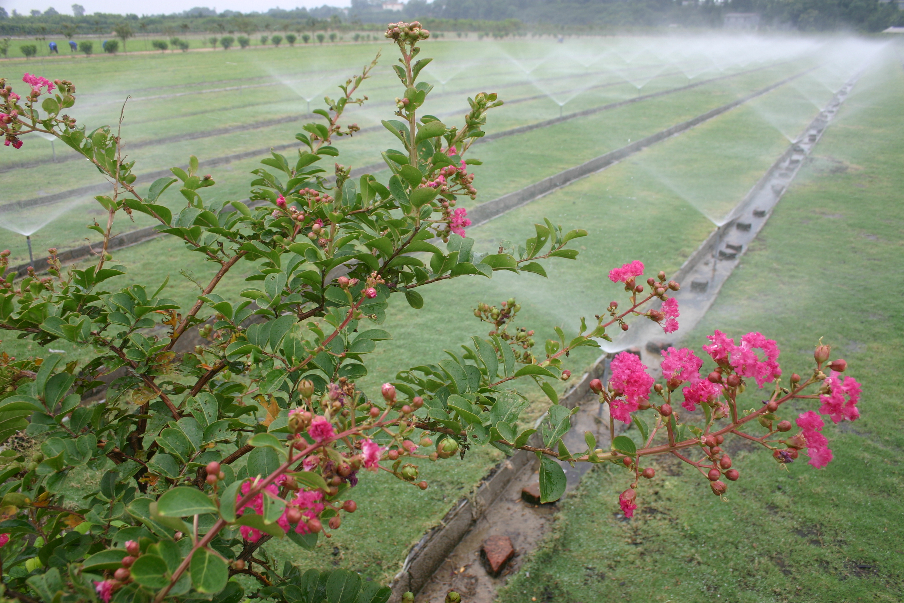 婀栧崡涓囧尰搴峰吇闆嗗洟鏈夐檺鍏徃,涓囧尰搴峰吇闆嗗洟