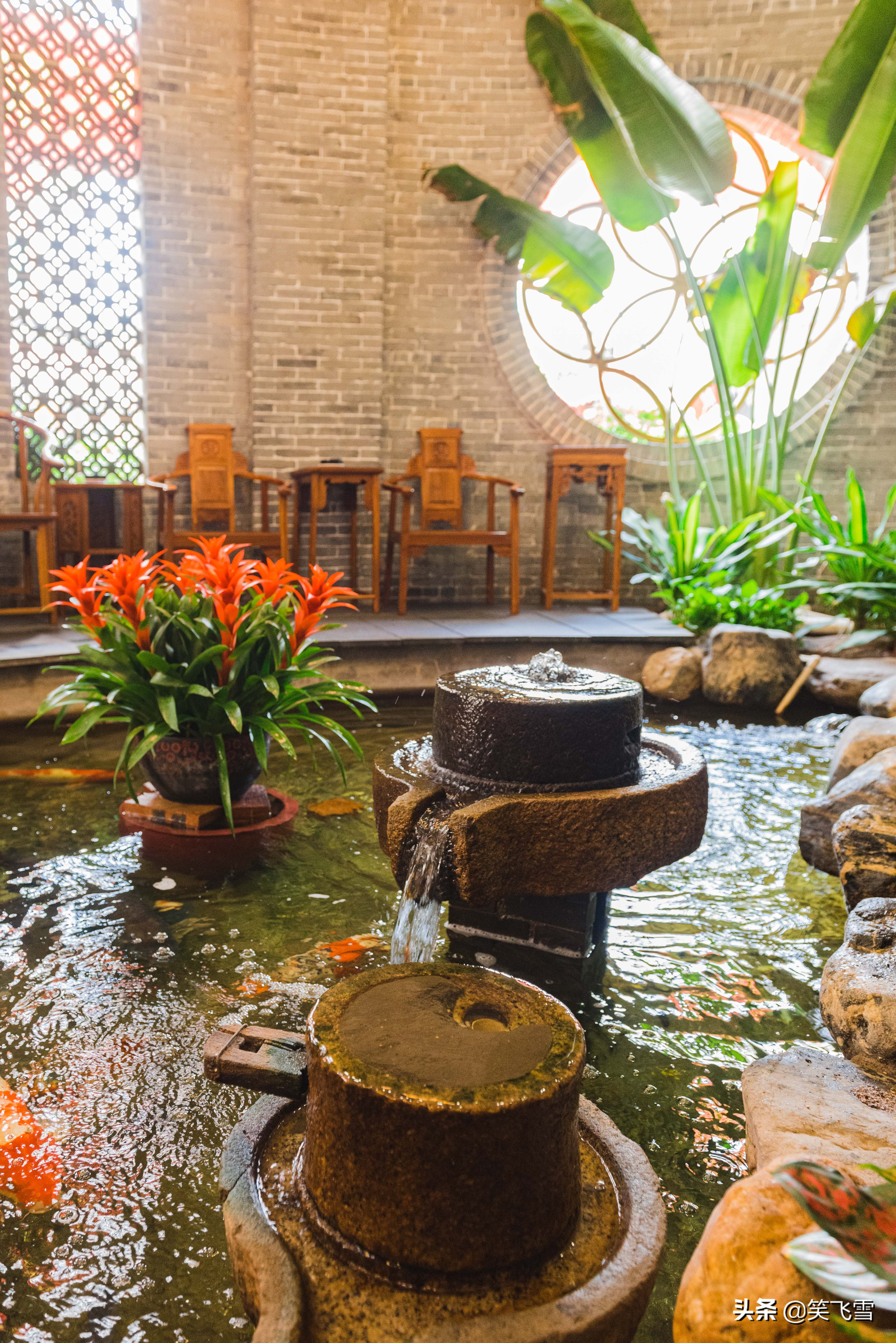 去顺德有什么好玩的,去顺德必玩的地方