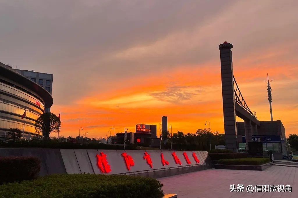 夏日限定!带您沉浸式体验信阳市人民医院的绿意芳香