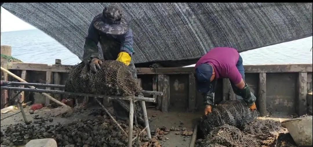 初见山东菏泽,初见文登婚纱摄影工作室